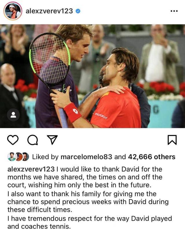 网页版登录-兹维列夫结束同费雷尔合作 今年恐独自征战澳网